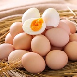 蛋与蛋制品检测